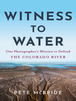 cover image of Witness to Water